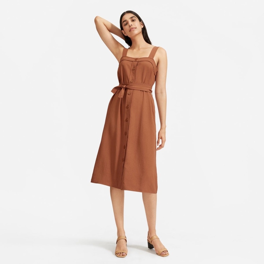 NWT Everlane Brown Japanese Picnic Dress